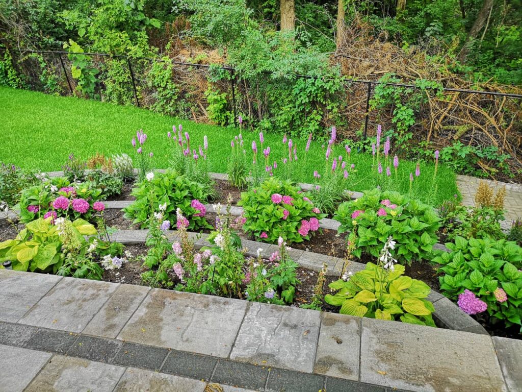 lawn and garden maintenance1